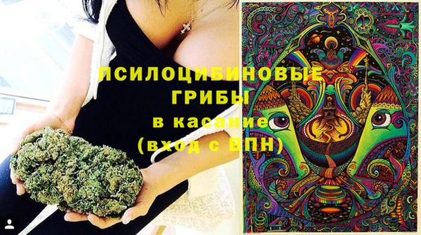 прущая мука Горячеводский