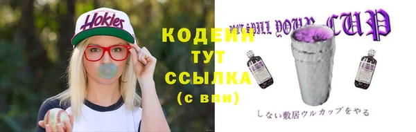 таблы Няндома