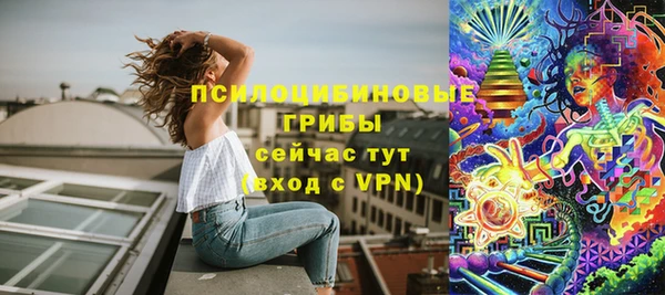 таблы Няндома